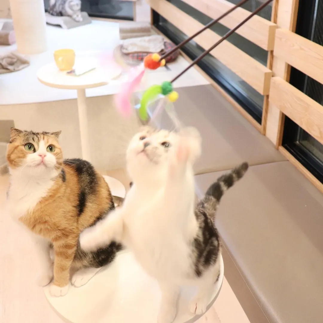 投稿の写真2