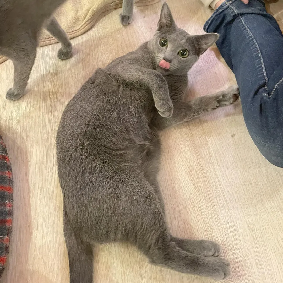 投稿の写真1
