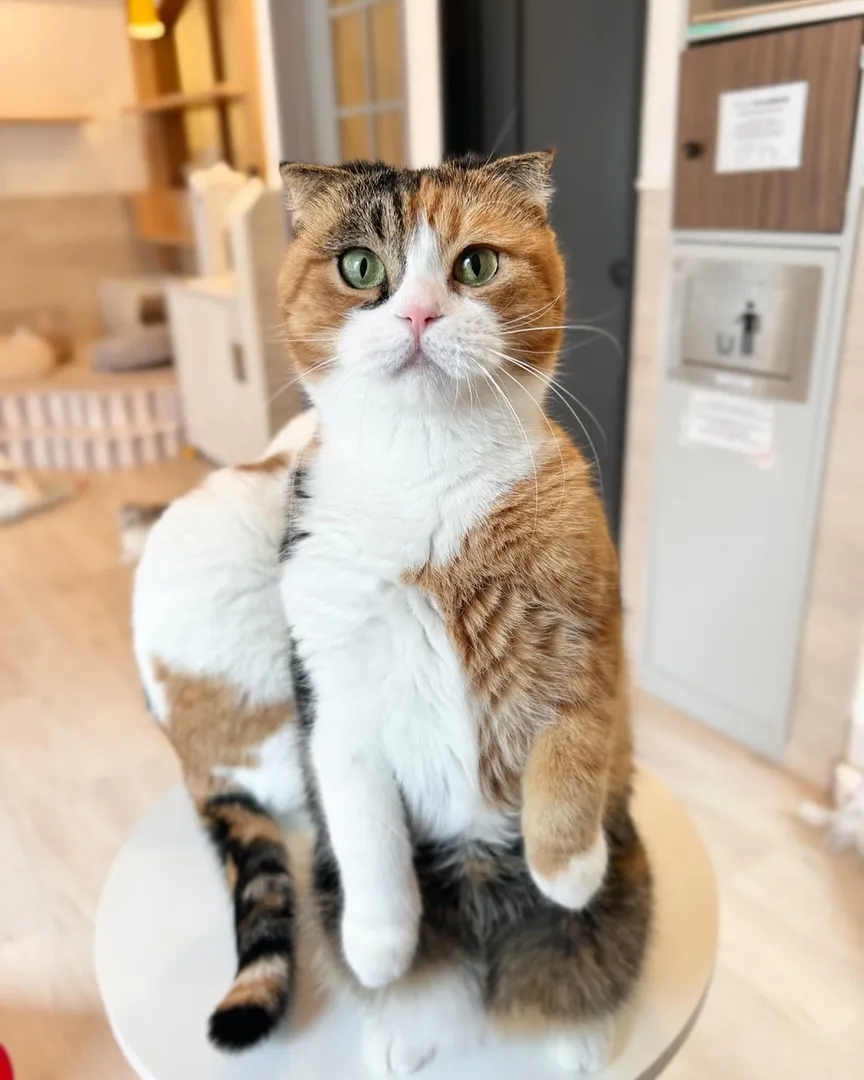投稿の写真2