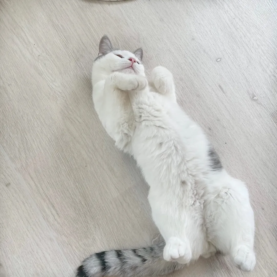 投稿の写真2