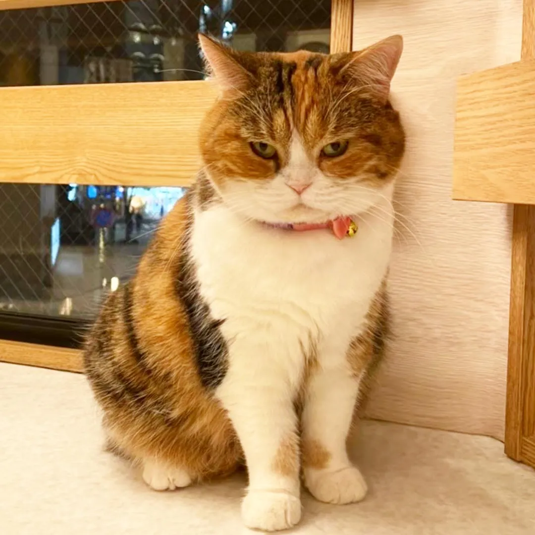 投稿の写真2