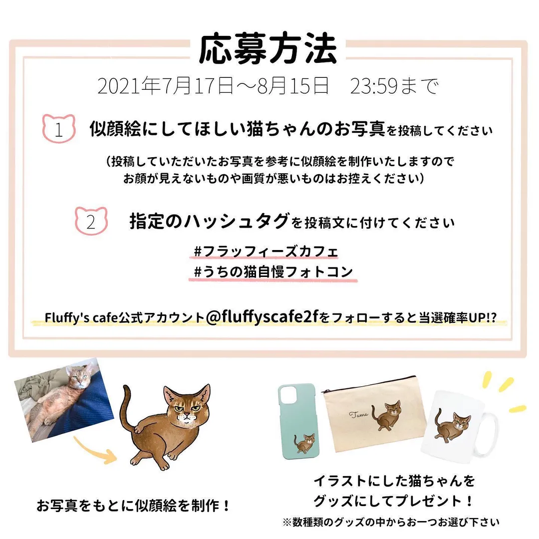 投稿の写真3