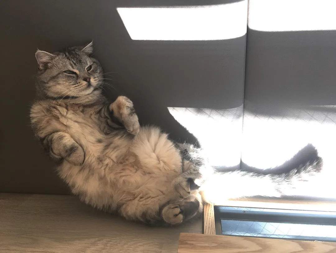 投稿の写真3