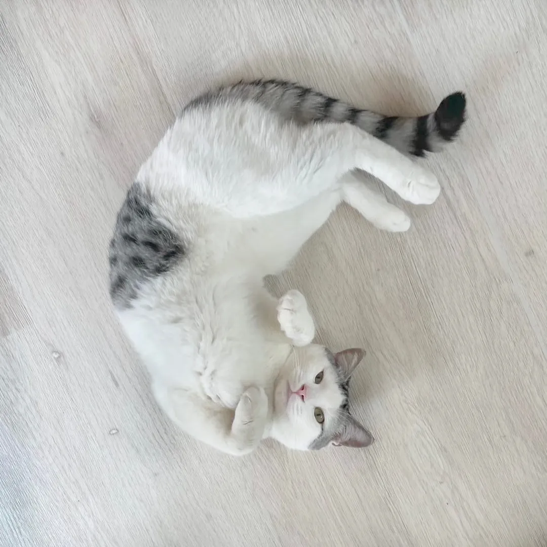 投稿の写真1