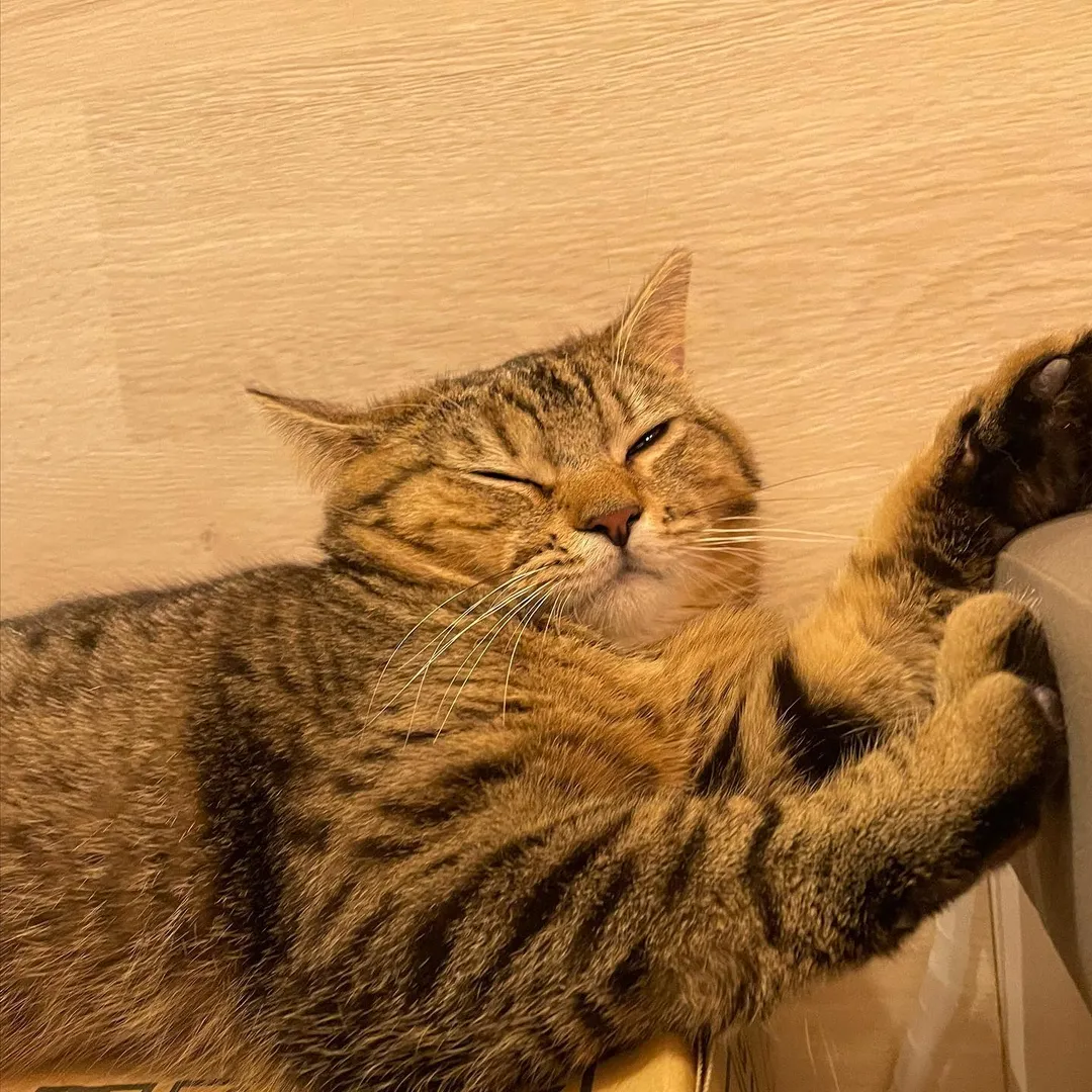 投稿の写真5