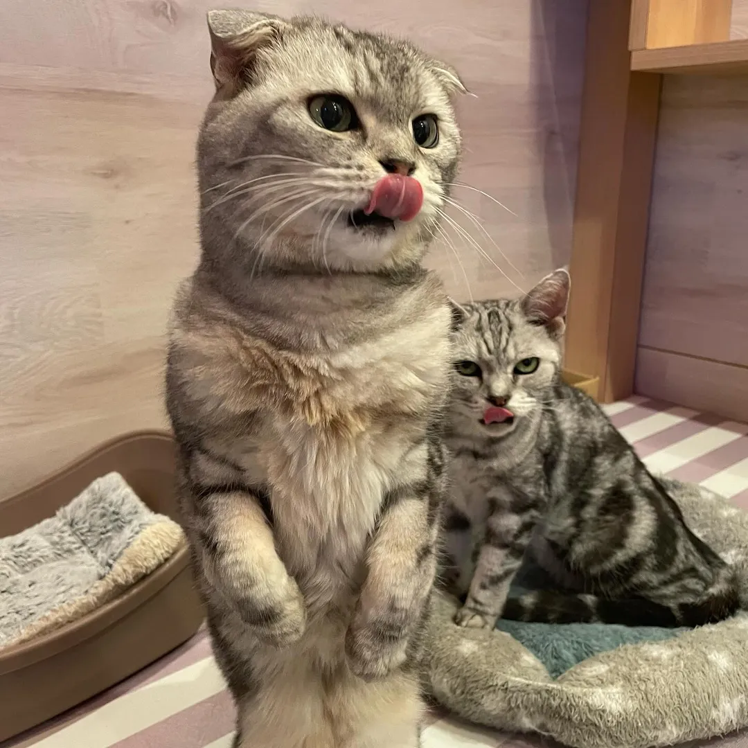 投稿の写真2