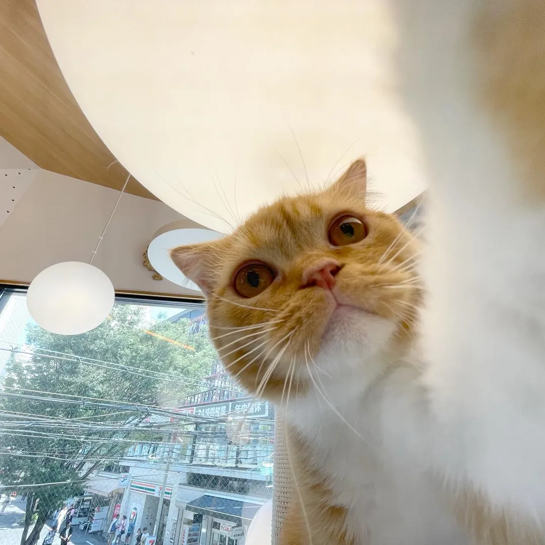 投稿の写真3
