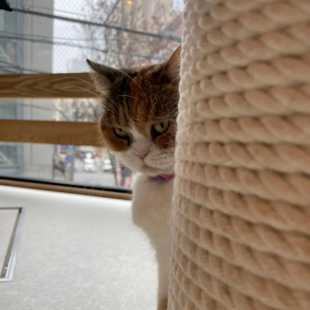 投稿の写真3