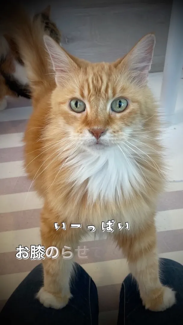 投稿の写真