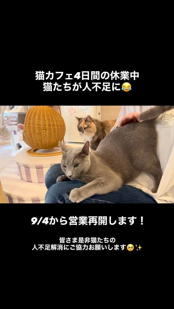 投稿の写真