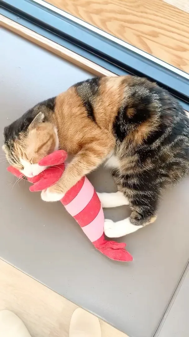 投稿の写真