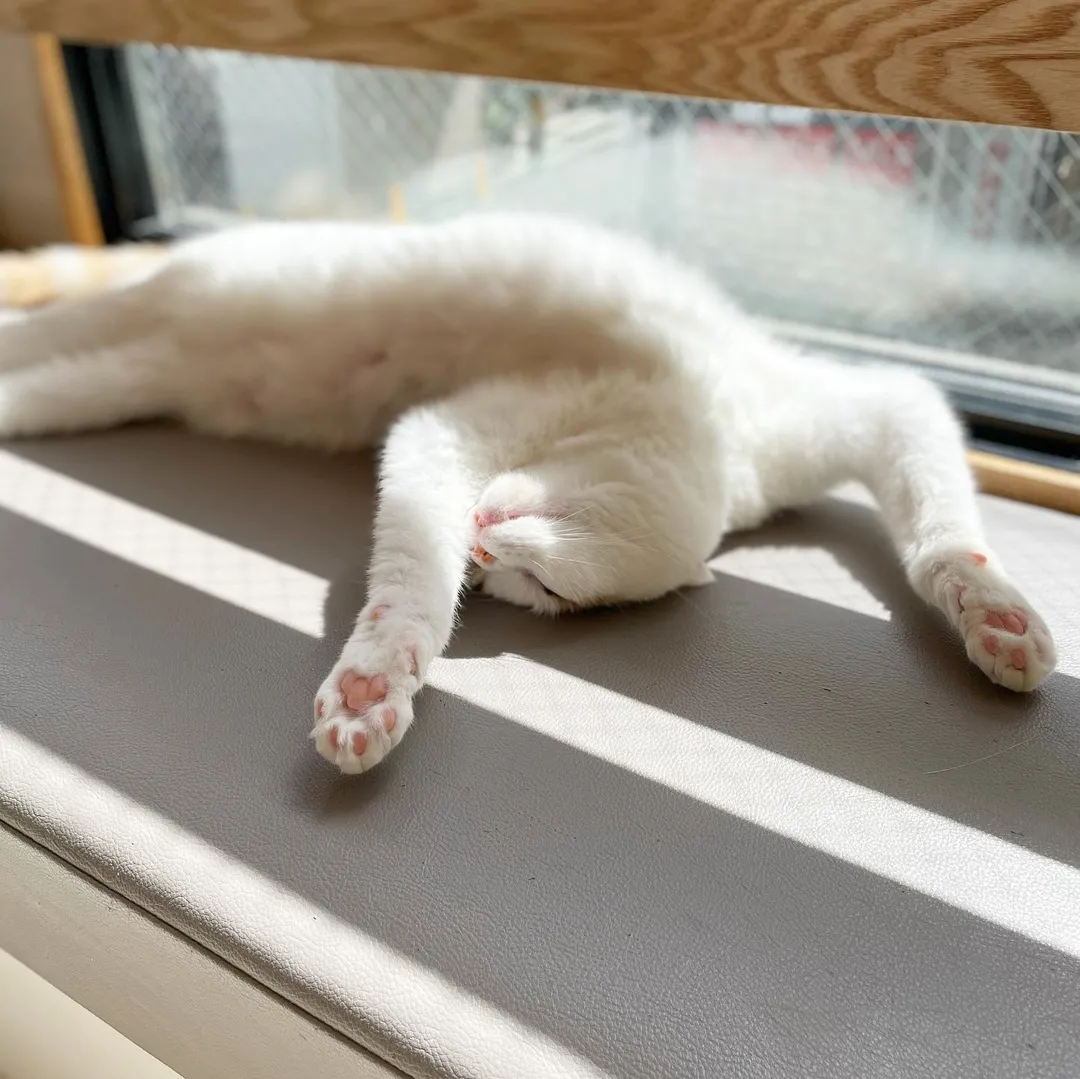 投稿の写真9