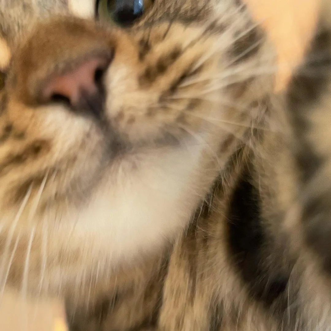 投稿の写真4