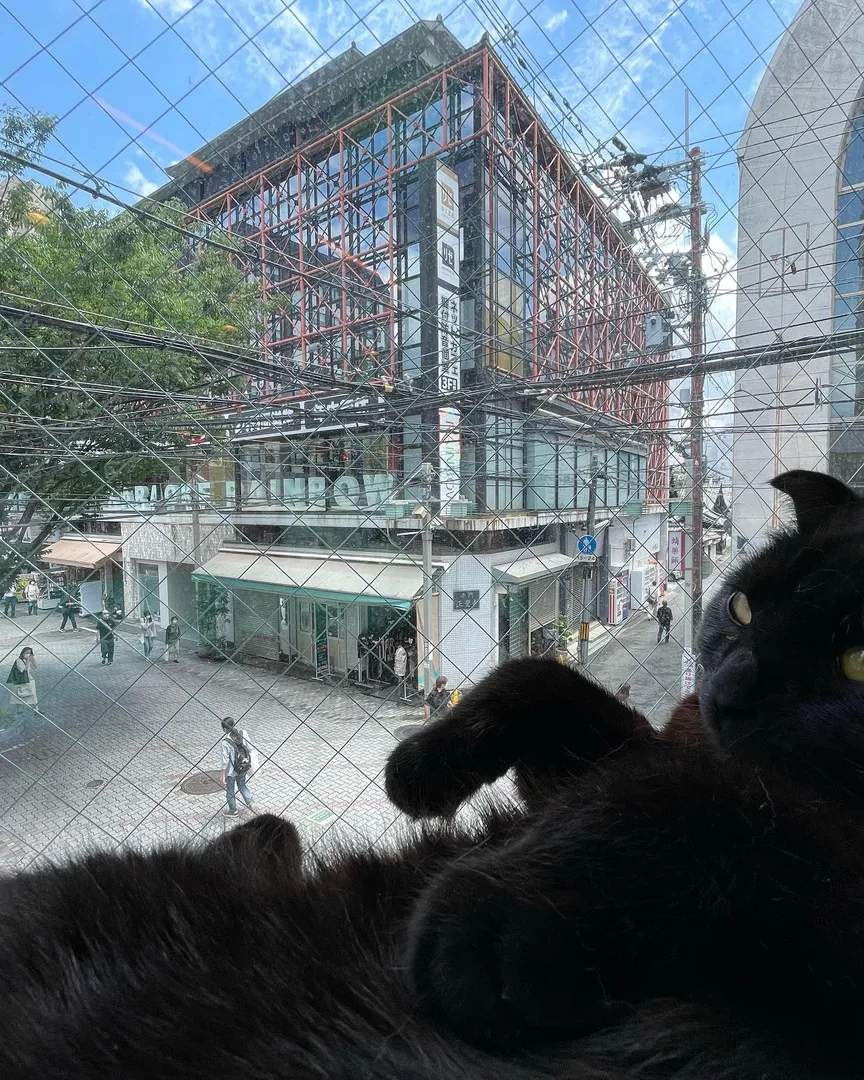 投稿の写真2