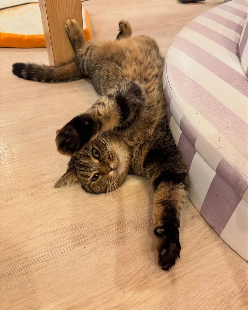 投稿の写真2