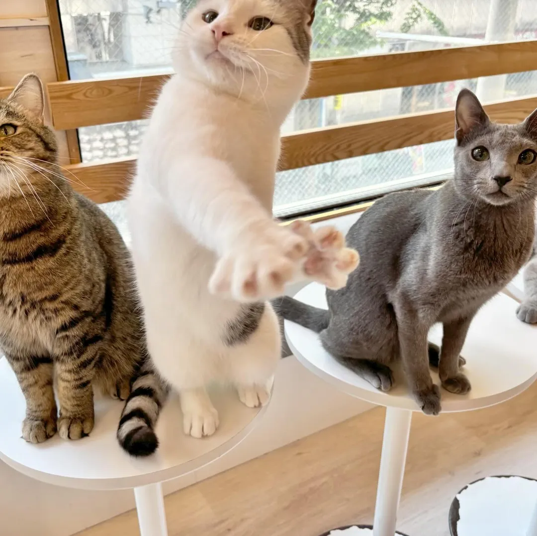 投稿の写真2