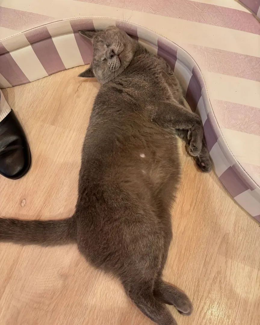 投稿の写真1