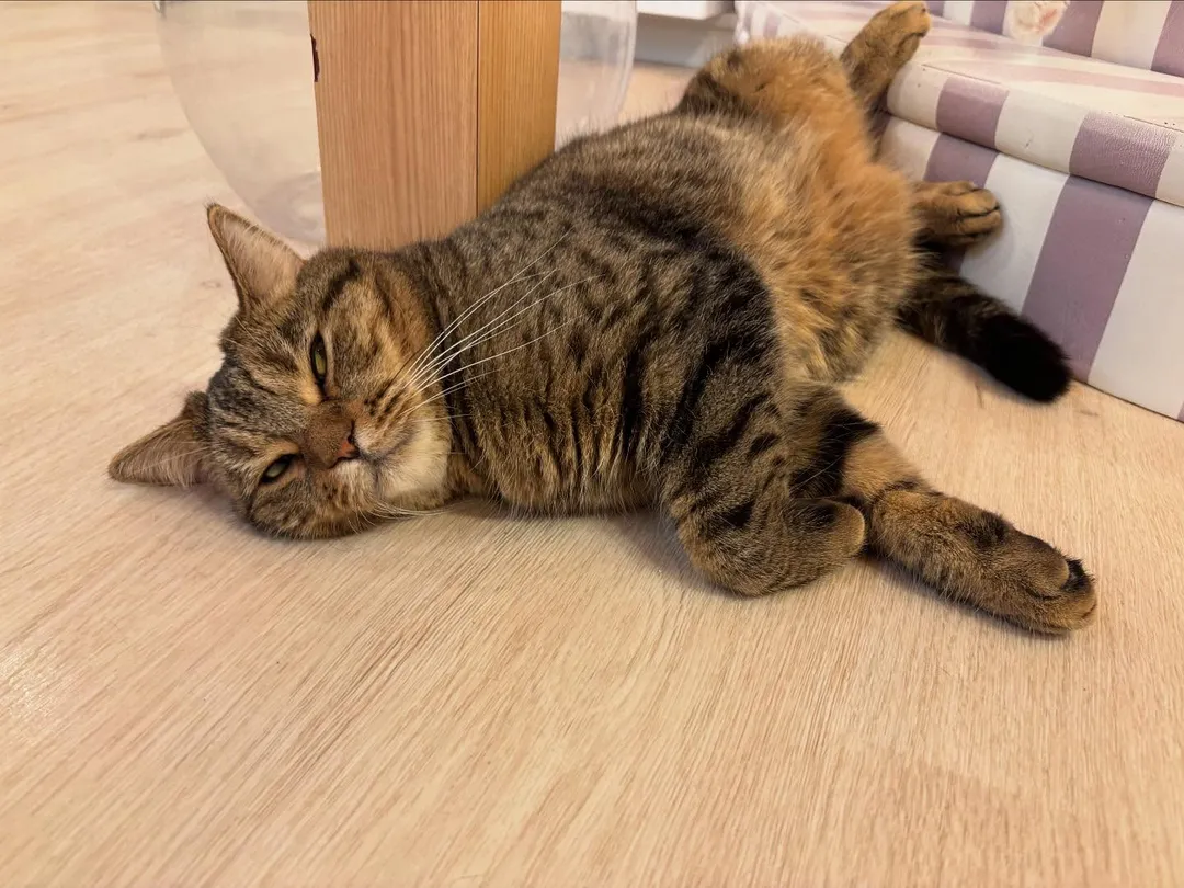 投稿の写真2