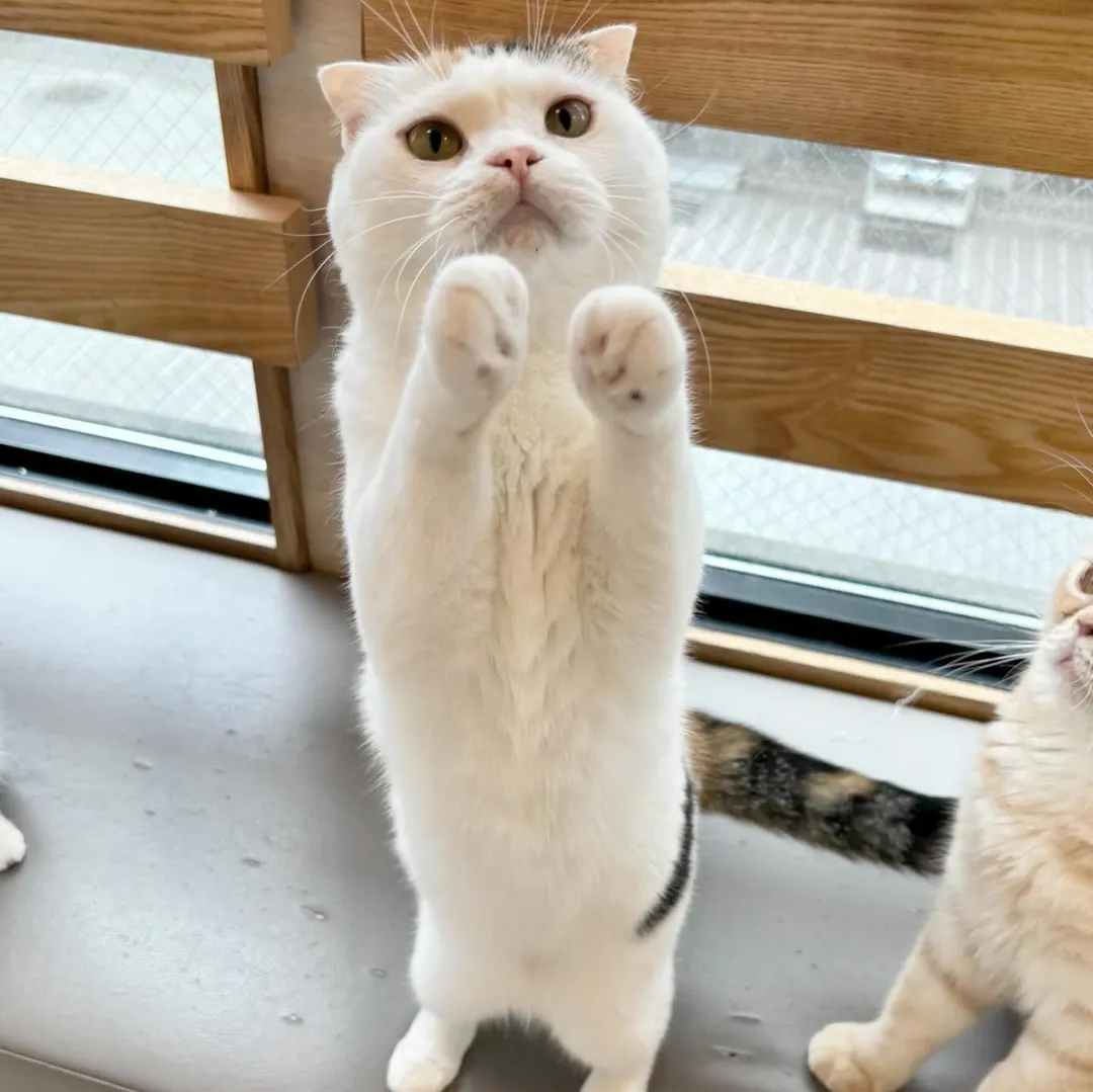 投稿の写真1