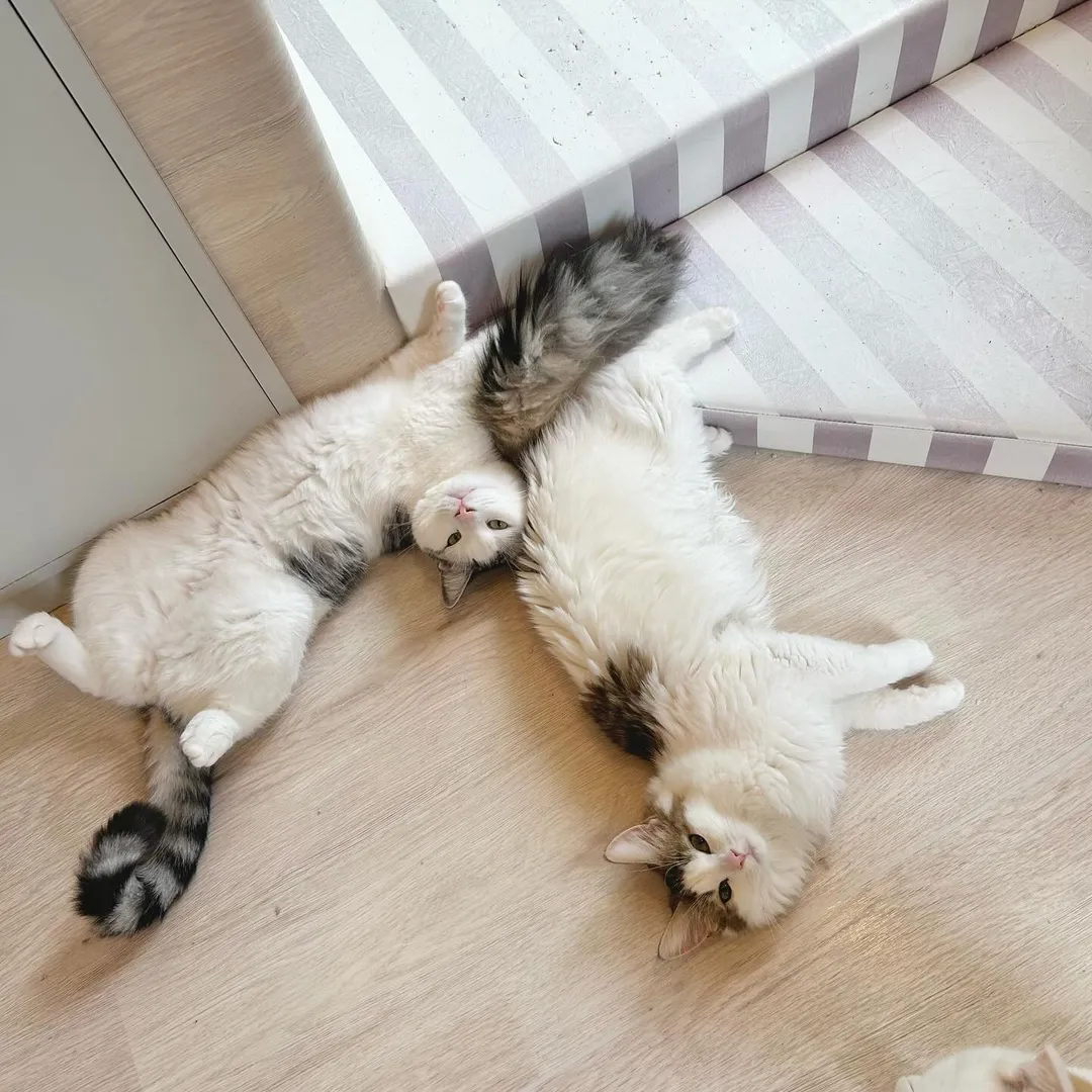 投稿の写真3