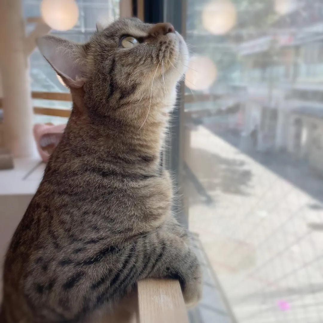 投稿の写真1