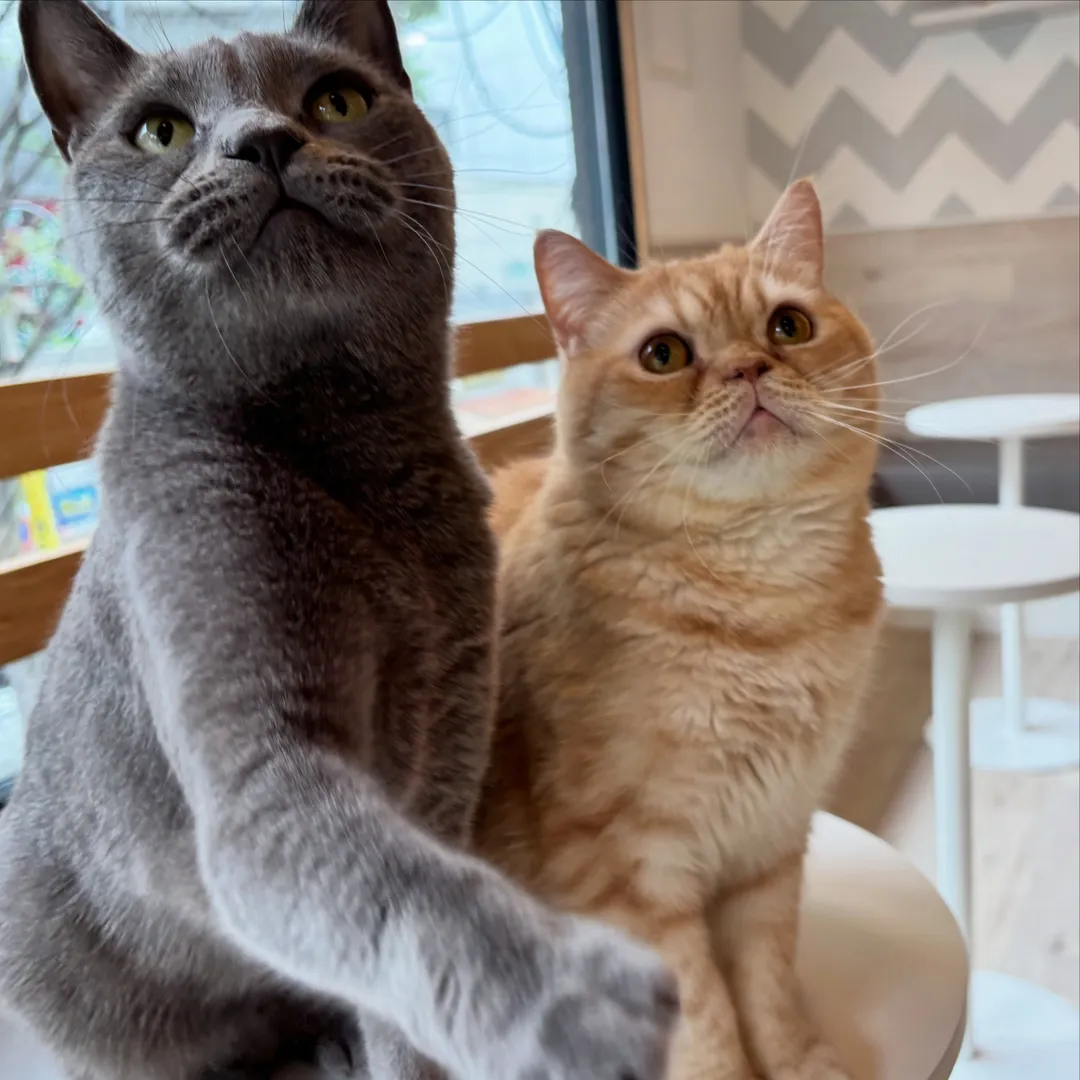 投稿の写真3