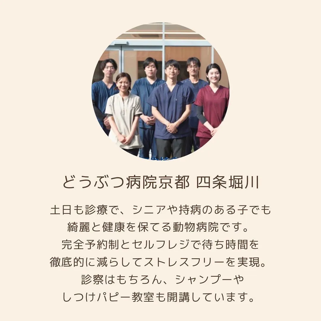 投稿の写真4