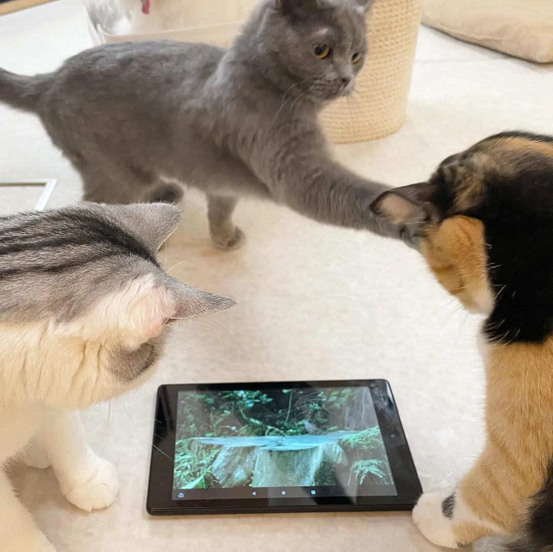 投稿の写真2