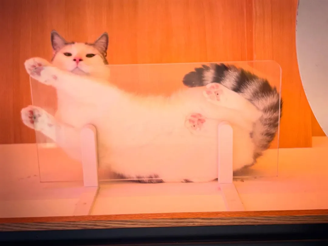 投稿の写真3