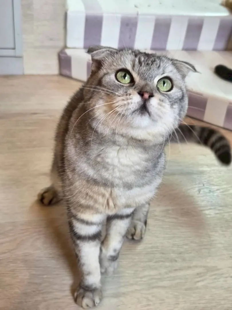 投稿の写真6