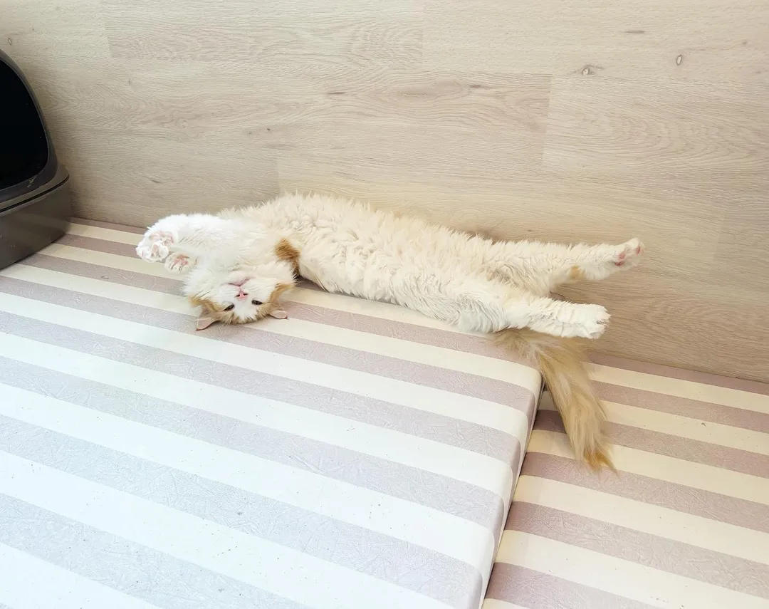 投稿の写真2