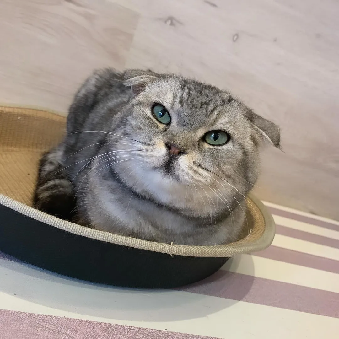 投稿の写真4