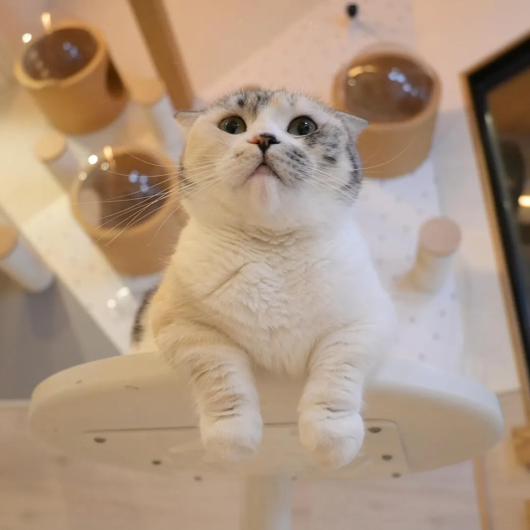投稿の写真2