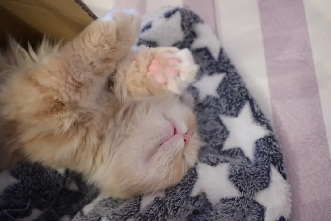 投稿の写真3