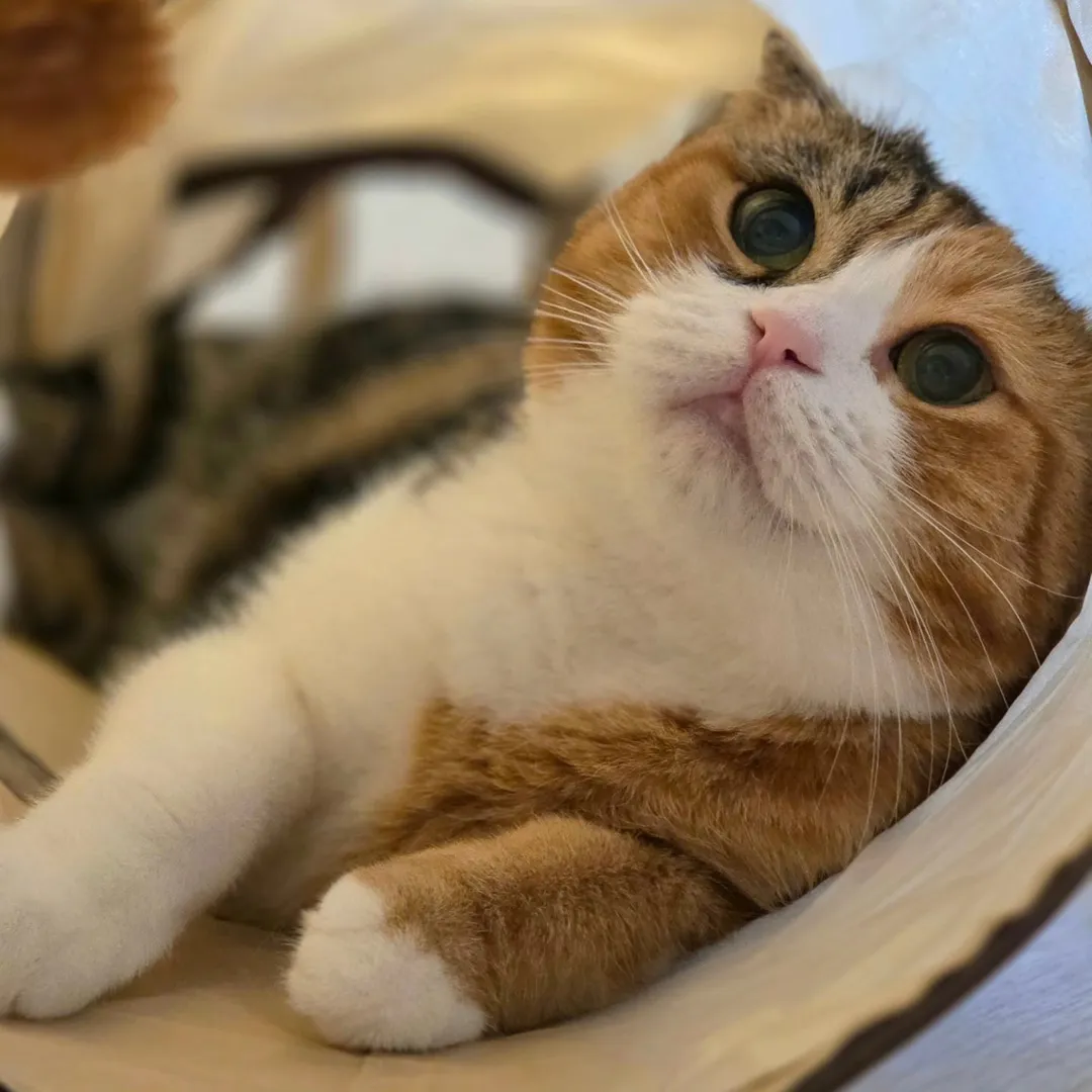 投稿の写真2