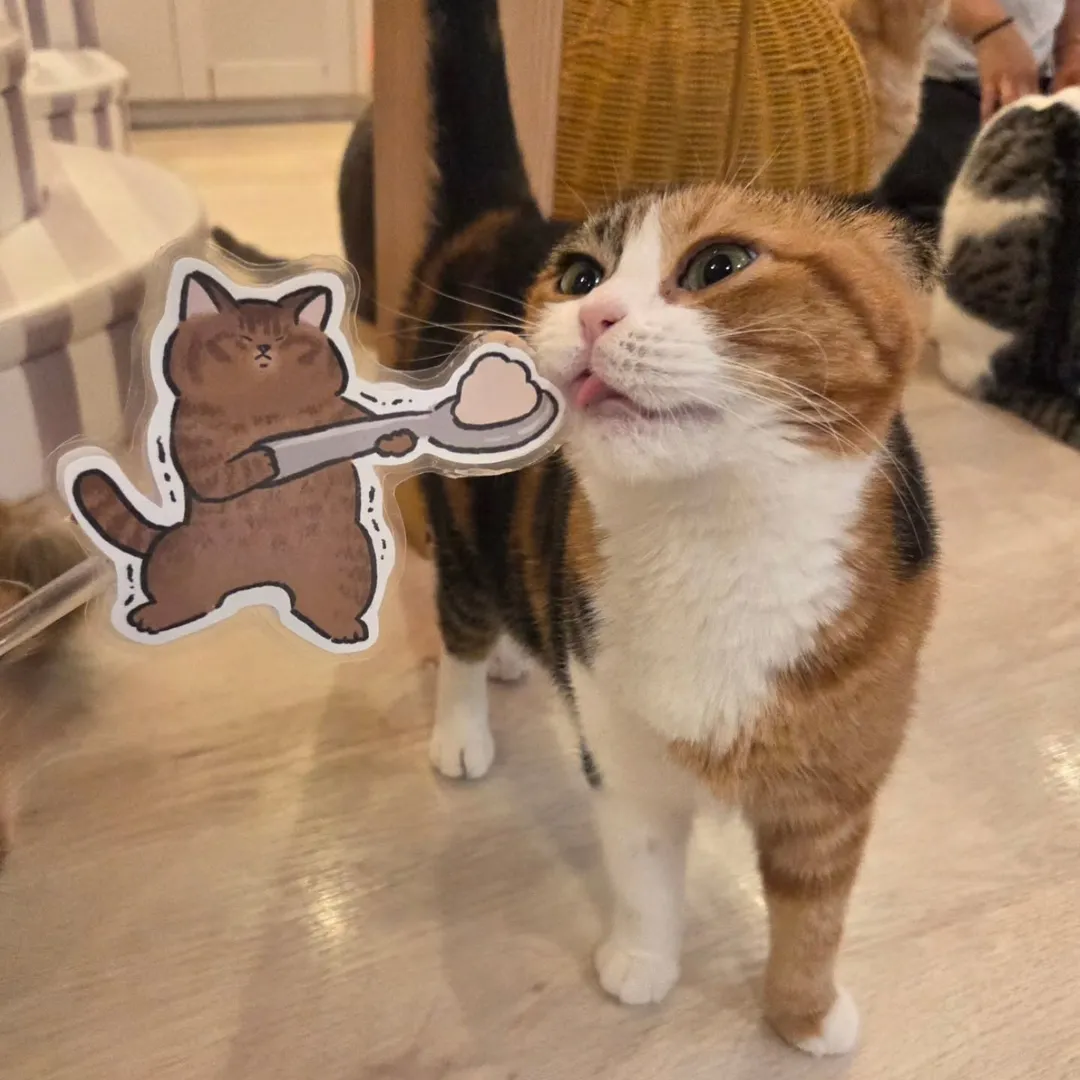 投稿の写真2