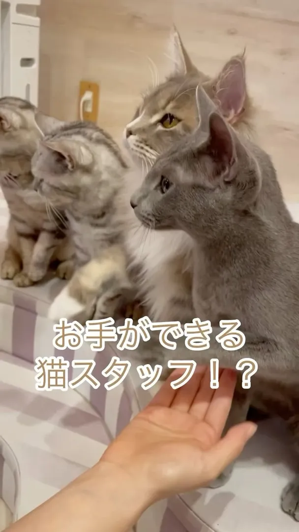 投稿の写真