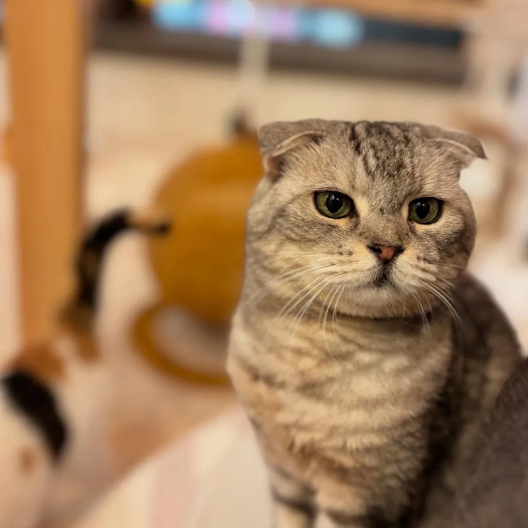 投稿の写真3