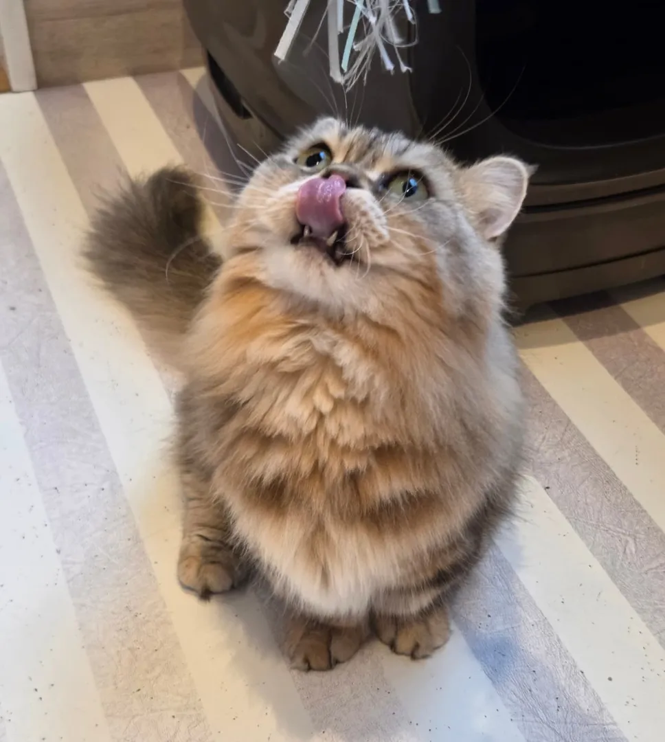 投稿の写真2