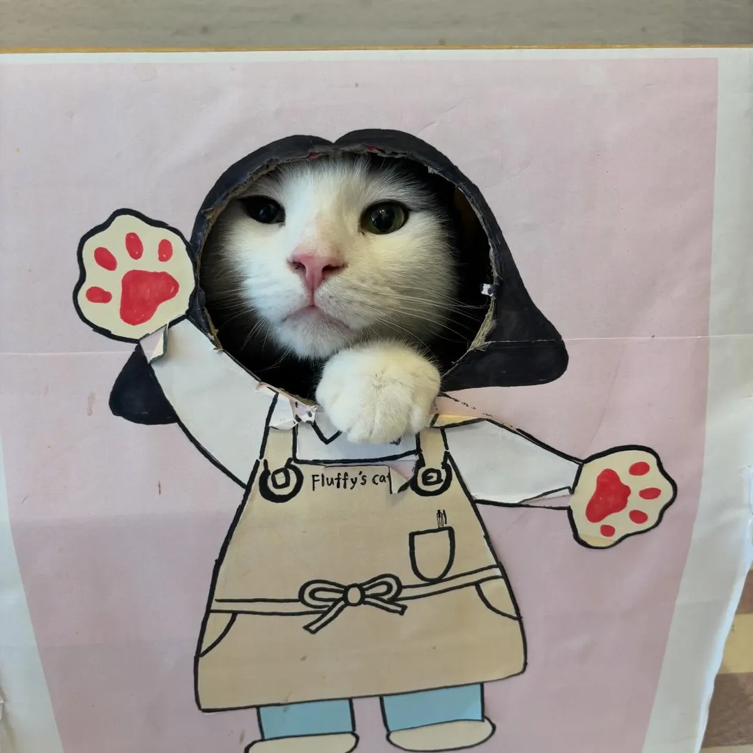 投稿の写真3