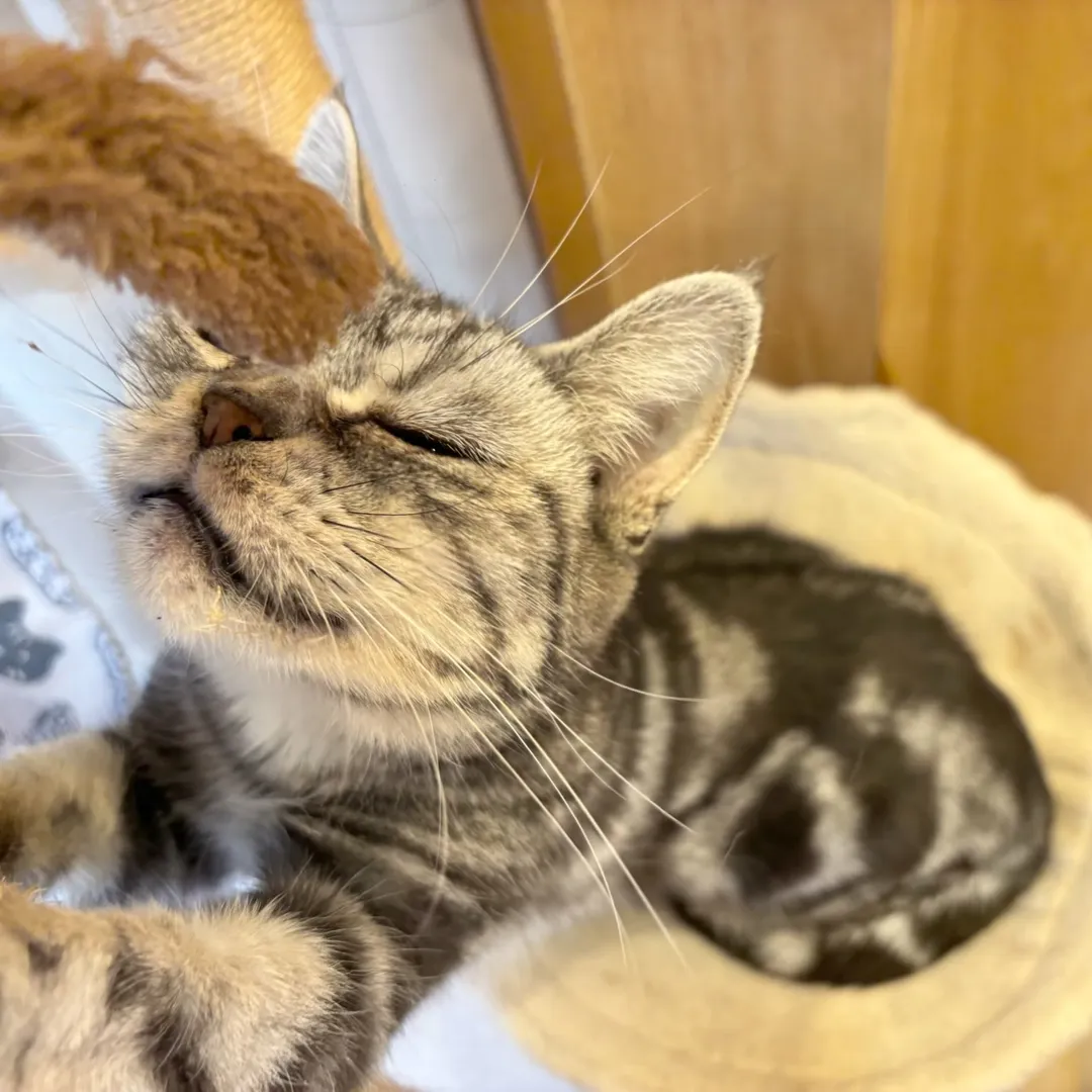 投稿の写真3